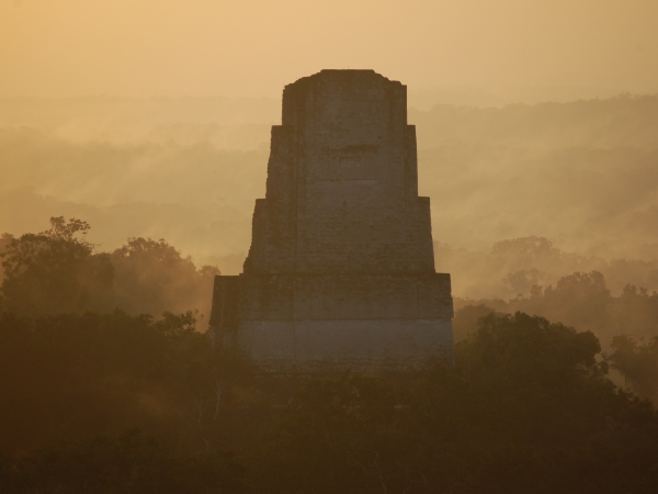 Foggy day in Tikal